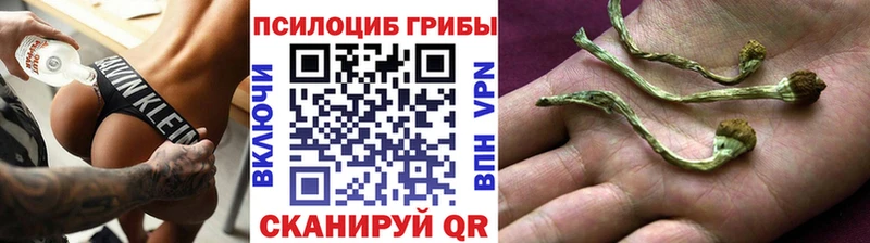 Галлюциногенные грибы Magic Shrooms  мега tor  Старая Русса  купить наркотик 